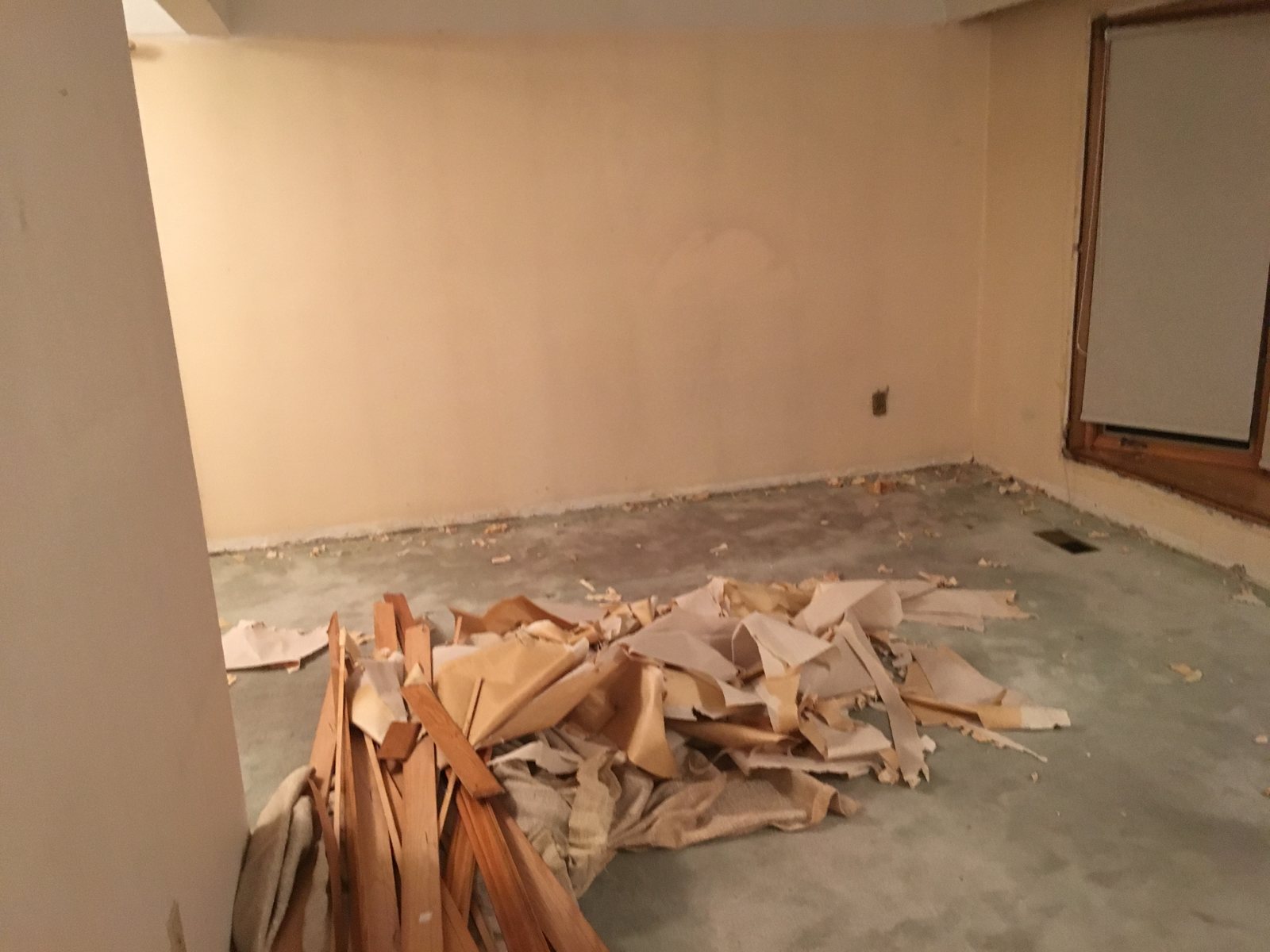 Battlefield Dr living room before renovation